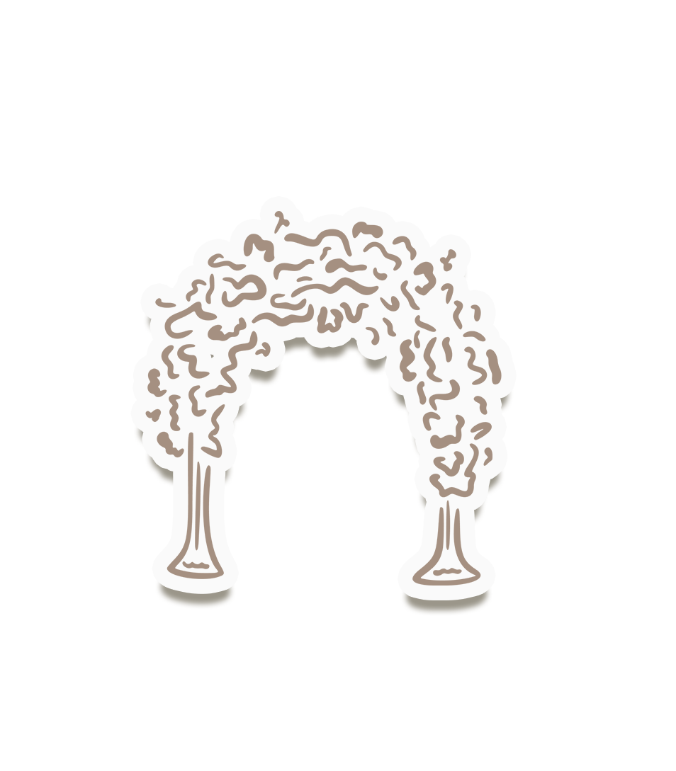 Recepción